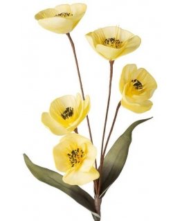 Eurofirany KW/FLORE/720/YEL Yellow+Black
