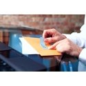 DYMO LW - Assorted Colour Labels - 28 x 89 mm - S0722380 Желтый, Розовый, Синий, Зеленый Самоклеящая DYMO LW - Assorted Colour Labels - 28 x 89 mm - S0722380 Желтый, Розовый, Синий, Зеленый Самоклеящая