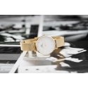 Daniel Wellington Women's Watch DW00100350 - Petite Evergold 28mm