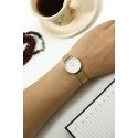 Daniel Wellington Women's Watch DW00100350 - Petite Evergold 28mm