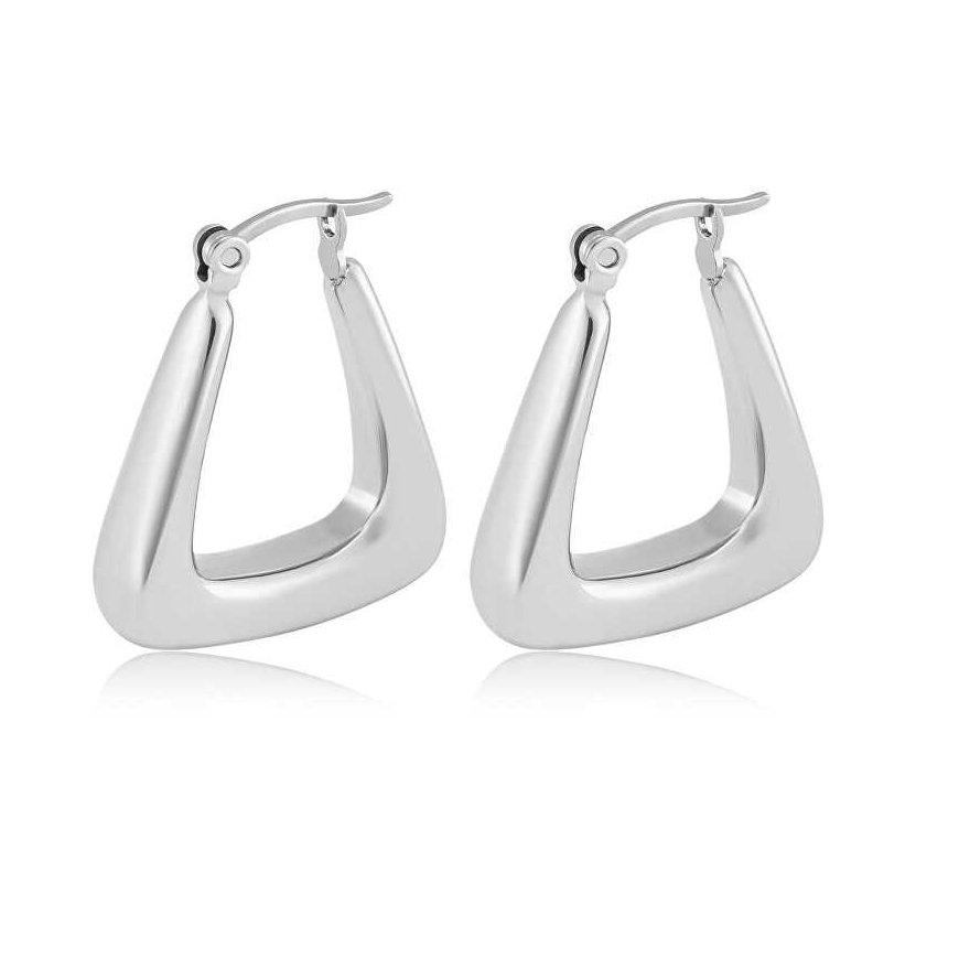 Troli Stylish steel earrings VAAJDE201325G