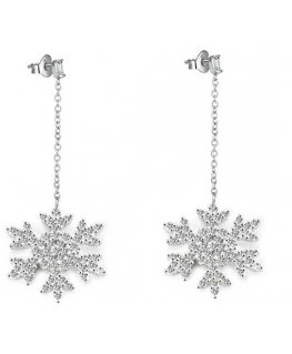 Beneto Shiny sidabrinis earrings Snowflakes AGUP2753