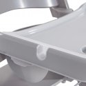 Hauck Alpha Tray High chair tray Grey