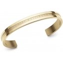 Daniel Wellington Žavi bronzinė vientisa apyrankė Elan DW0040014