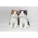 Sun Day Cat K-1218 2col 35cm 162908 Sun Day Cat K-1218 2col 35cm 162908