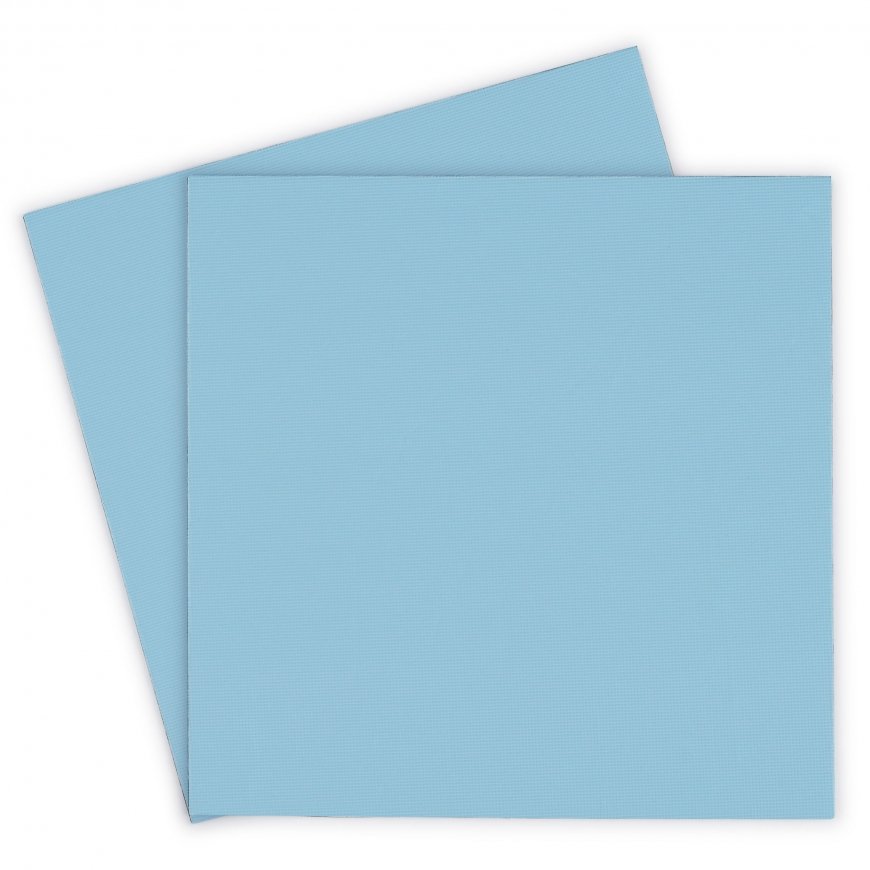Thermal Grizzly Thermal Grizzly Minus Pad