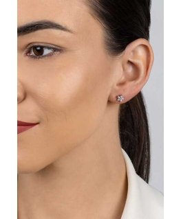 Brilio Silver Delicate silver earrings with clear zircons EA1092W