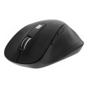 Deltaco DELO-0310 компьютерная мышь Офисная Для правой руки Беспроводной RF Оптический 2400 DPI Deltaco DELO-0310 компьютерная мышь Офисная Для правой руки Беспроводной RF Оптический 2400 DPI