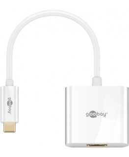 Goobay 66259 USB graphics adapter White