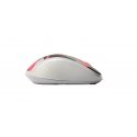 Rapoo M500 Silent hiir Kontor Parempoolne Bluetooth + USB Type-A Optiline 1600 DPI