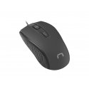 NATEC Hoopoe 2 hiir Kontor Mõlemakäeline USB tüüp A Optiline 1600 DPI NATEC Hoopoe 2 hiir Kontor Mõlemakäeline USB tüüp A Optiline 1600 DPI