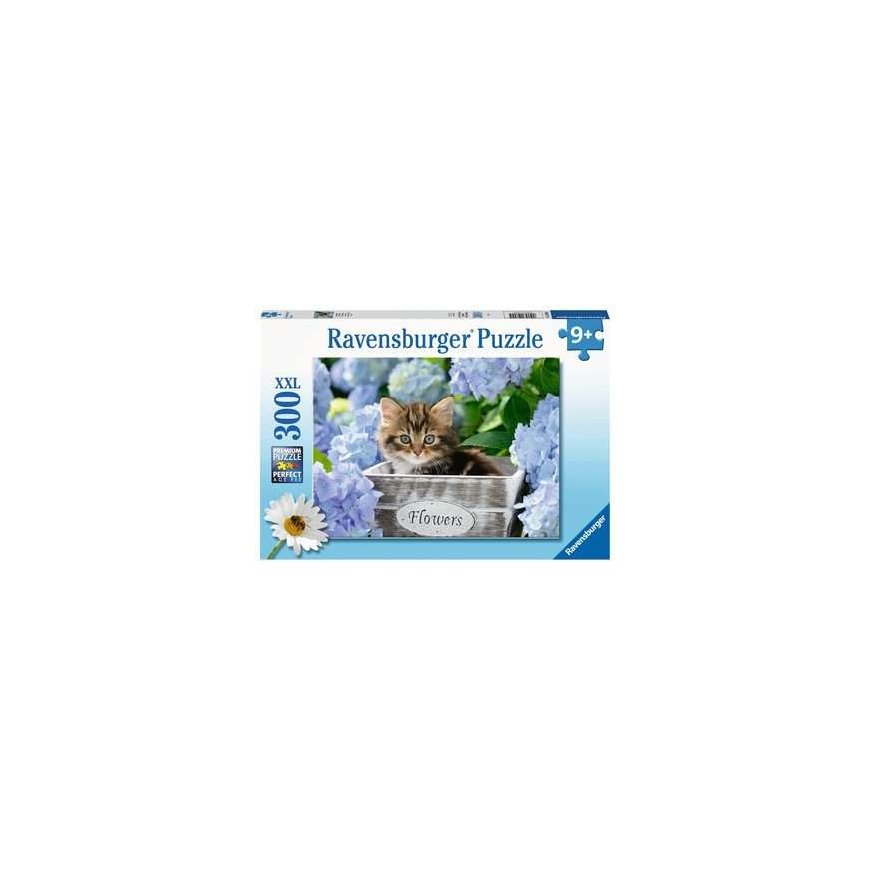 Ravensburger 00.012.894 300 pcs