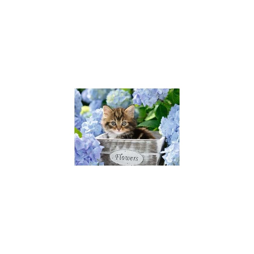 Ravensburger 00.012.894 300 pc(s) Animals – 2