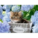 Ravensburger 00.012.894 300 pc(s) Animals Ravensburger 00.012.894 300 pc(s) Animals