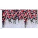 Maximex Balcony covering roses, 5 mx 85 cm