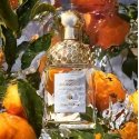 Guerlain Mandarine Basilic 125 ml Sievietes Guerlain Mandarine Basilic 125 ml Sievietes