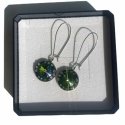 Sagapo Elegant steel earrings with CLICK SCK45 crystals Sagapo Elegant steel earrings with CLICK SCK45 crystals