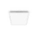 Philips Functional Panel Ceiling Ceiling Light 12 W Square Philips Functional Panel Ceiling Ceiling Light 12 W Square