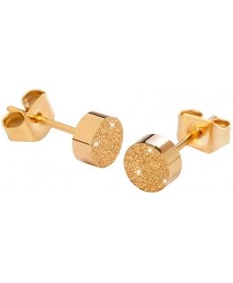 Troli Shiny Gold -korvakorut KE-004