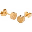 Troli Shiny Gold -korvakorut KE-004 Troli Shiny Gold -korvakorut KE-004