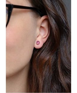 Beneto Silver earrings with shiny zircon AGUP1718S