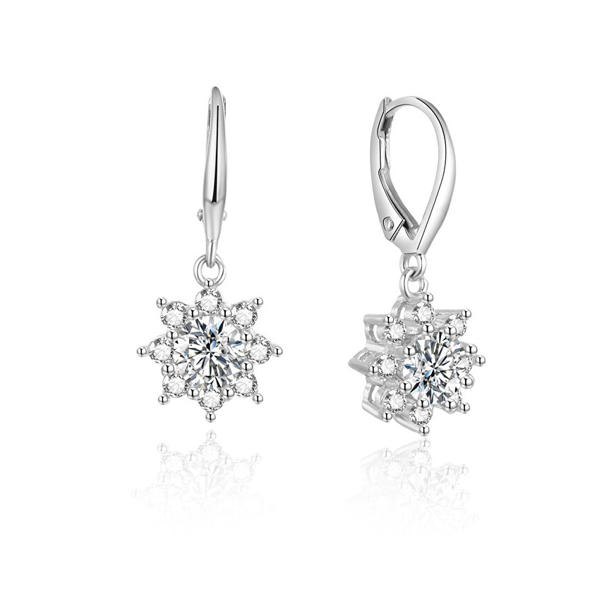 Bennett Silver Shiny Earrings AGUC1842