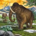 Ravensburger 4005556093588 Kuviopalapeli 49 kpl Dinosaurukset Ravensburger 4005556093588 Kuviopalapeli 49 kpl Dinosaurukset