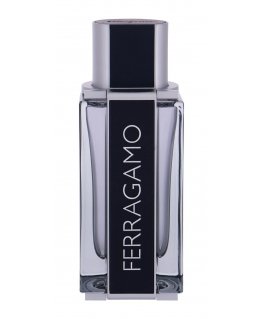 Miesten hajuvesi Ferragamo Ferragamo EDT, 100 ml