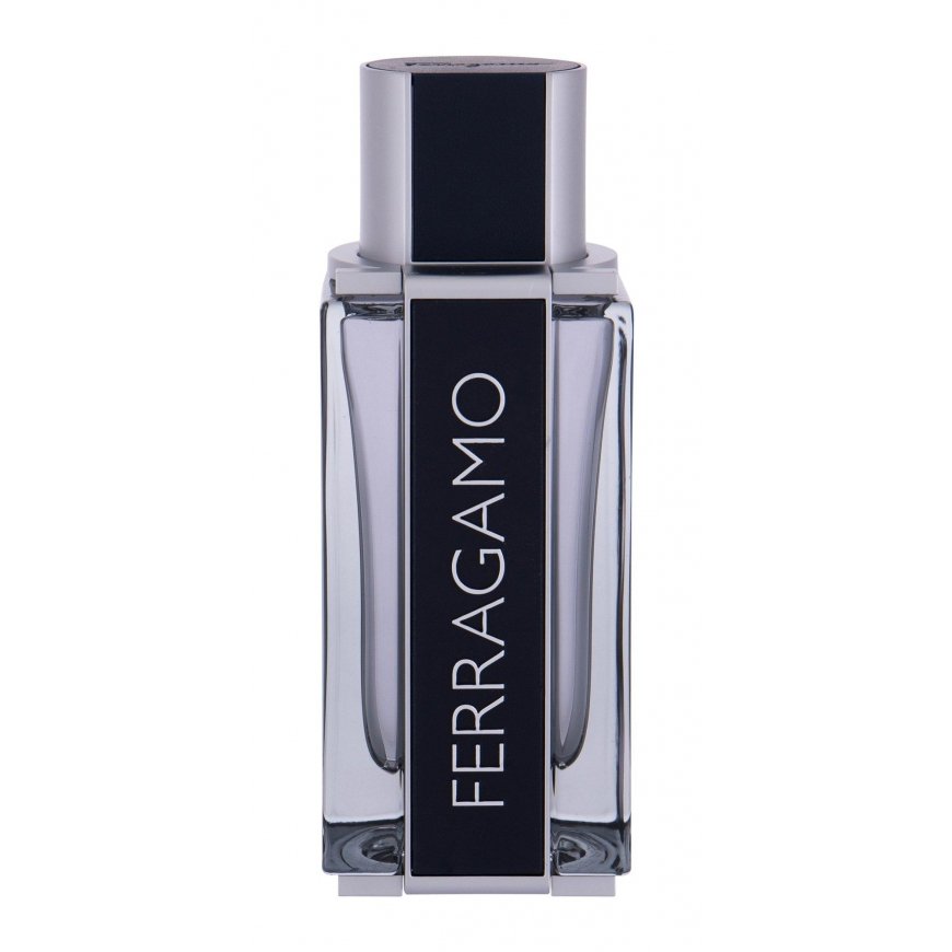 Miesten hajuvesi Ferragamo Ferragamo EDT, 100 ml