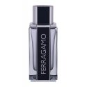 Miesten hajuvesi Ferragamo Ferragamo EDT, 100 ml Miesten hajuvesi Ferragamo Ferragamo EDT, 100 ml
