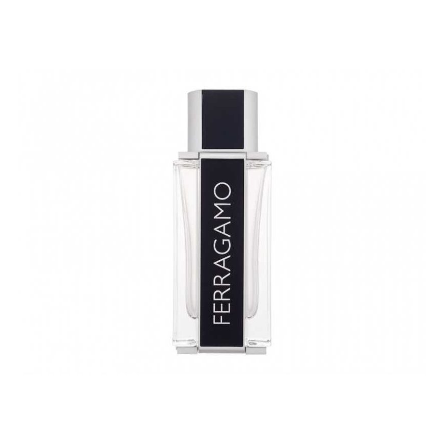 Miesten hajuvesi Ferragamo Ferragamo EDT, 100 ml – 2