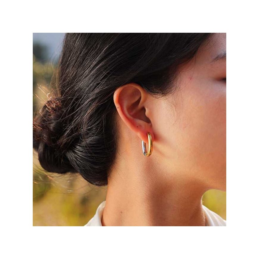 Troli Oval Two-Tone Steel Earrings