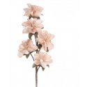 Eurofirany KW/FLORE/741/JR J. Pink+Green