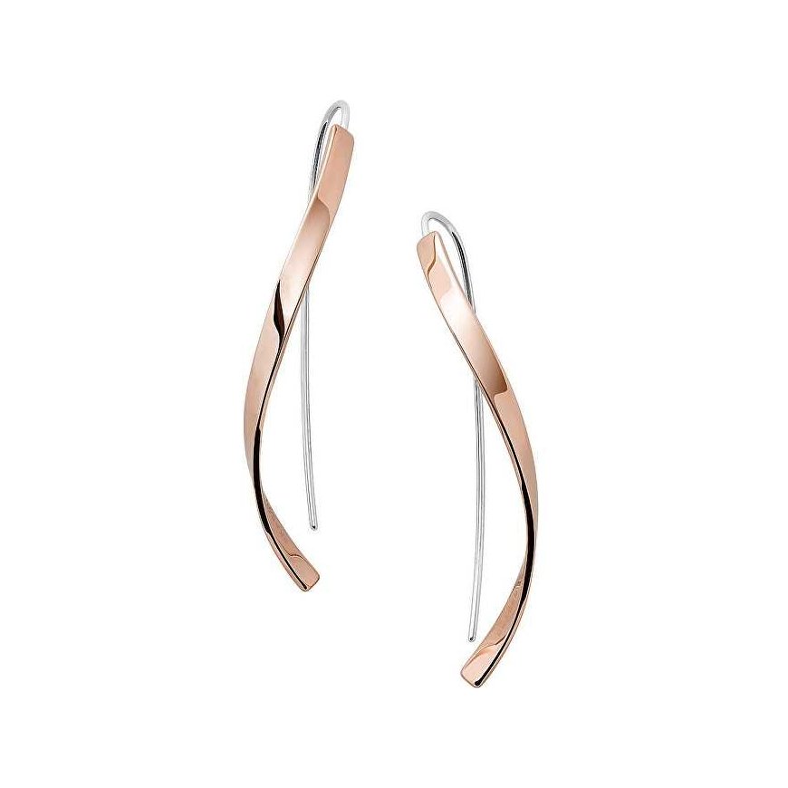 Skagen Auskarai moterims SKJ1328791