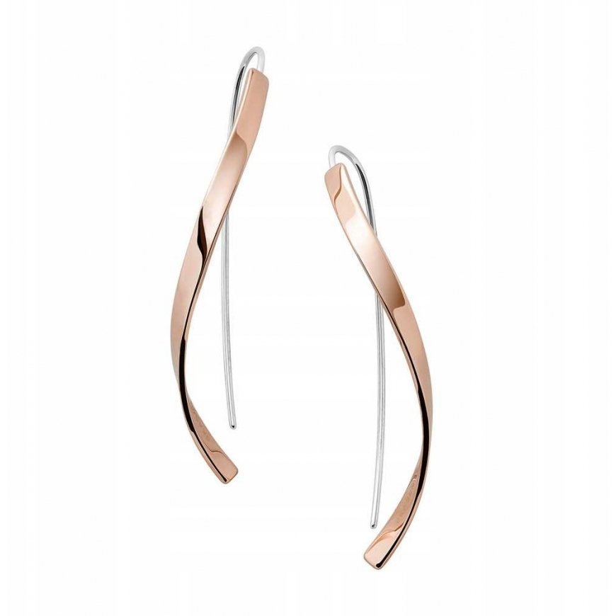Skagen Auskarai moterims SKJ1328791 – 2