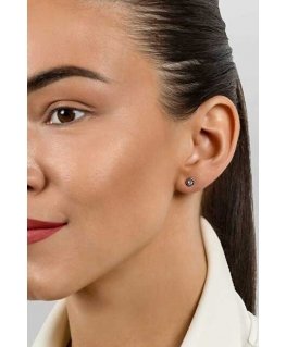 Brilio Silver Brilio Silver Timeless silver earrings with zircons EA609W