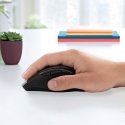 Logitech Marathon Mouse M705 hiir Kontor Parempoolne Raadioside Optiline 1000 DPI Logitech Marathon Mouse M705 hiir Kontor Parempoolne Raadioside Optiline 1000 DPI