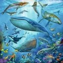 Ravensburger Ocean Life Ravensburger Ocean Life