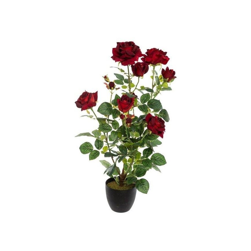 Atmosphera Dirbtinės vazoninės gėlės ROOT OF ROSE, 74 cm