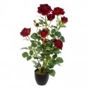 Atmosphera Dirbtinės vazoninės gėlės ROOT OF ROSE, 74 cm