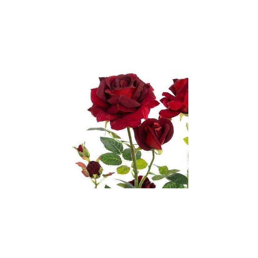 Atmosphera Tekoruukkukukat ROOT OF ROSE, 74 cm – 2