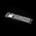 Intenso 3835460 SSD diskdzinis 1 TB M.2 PCI Express 3.0 NVMe 3D NAND