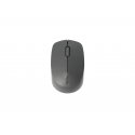 Rapoo M100 Silent компьютерная мышь Офисная Для обеих рук РЧ беспроводной + Bluetooth Оптический 100