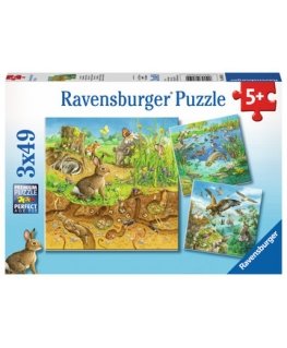 Ravensburger 00.008.050 Sliding puzzle 49 pc(s) Art