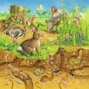 Ravensburger 00.008.050 Bīdāmā puzle 49 pcs Māksla