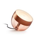Philips Hue White and colour ambience Iris copper special edition Philips Hue White and colour ambience Iris copper special edition