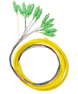Qoltec 12 x SC/APC fiber optic patch cord | Singlemode | G652D | 2 m