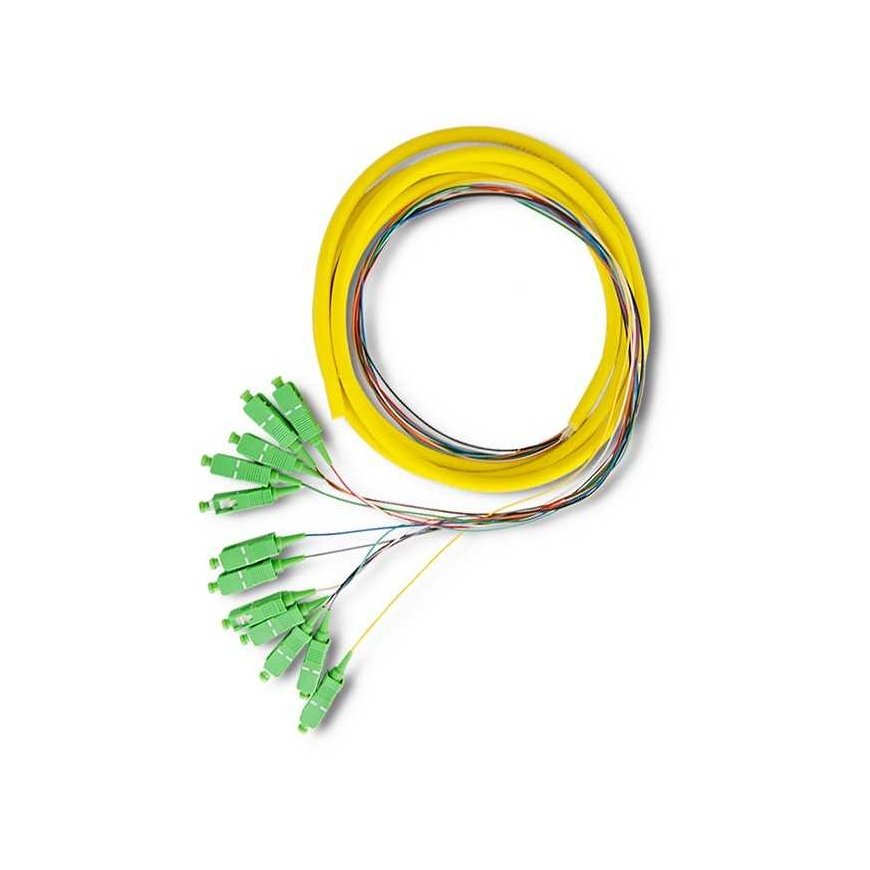 Qoltec 12 x SC/APC fiber optic patch cord | Singlemode | G652D | 2 m – 3