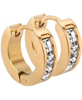 Troli Gold-plated steel earrings with crystals