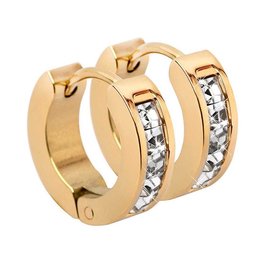 Troli Gold-plated steel earrings with crystals